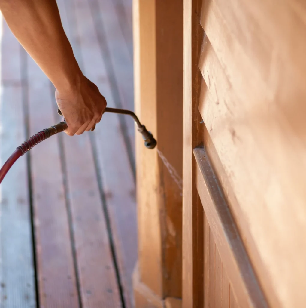 Trusted Pest Control - Cicero Pest Control Pros | Cicero, NY | 315-544-3405